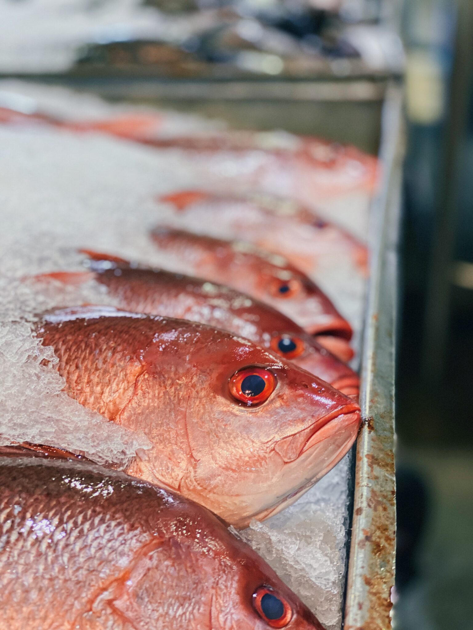 Pacific Fresh – Fish Company